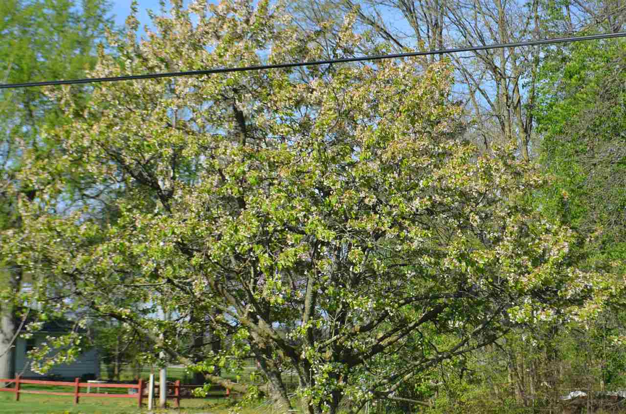 12432 Monroeville Road Monroeville, IN 46773 - Photo 12 of 35