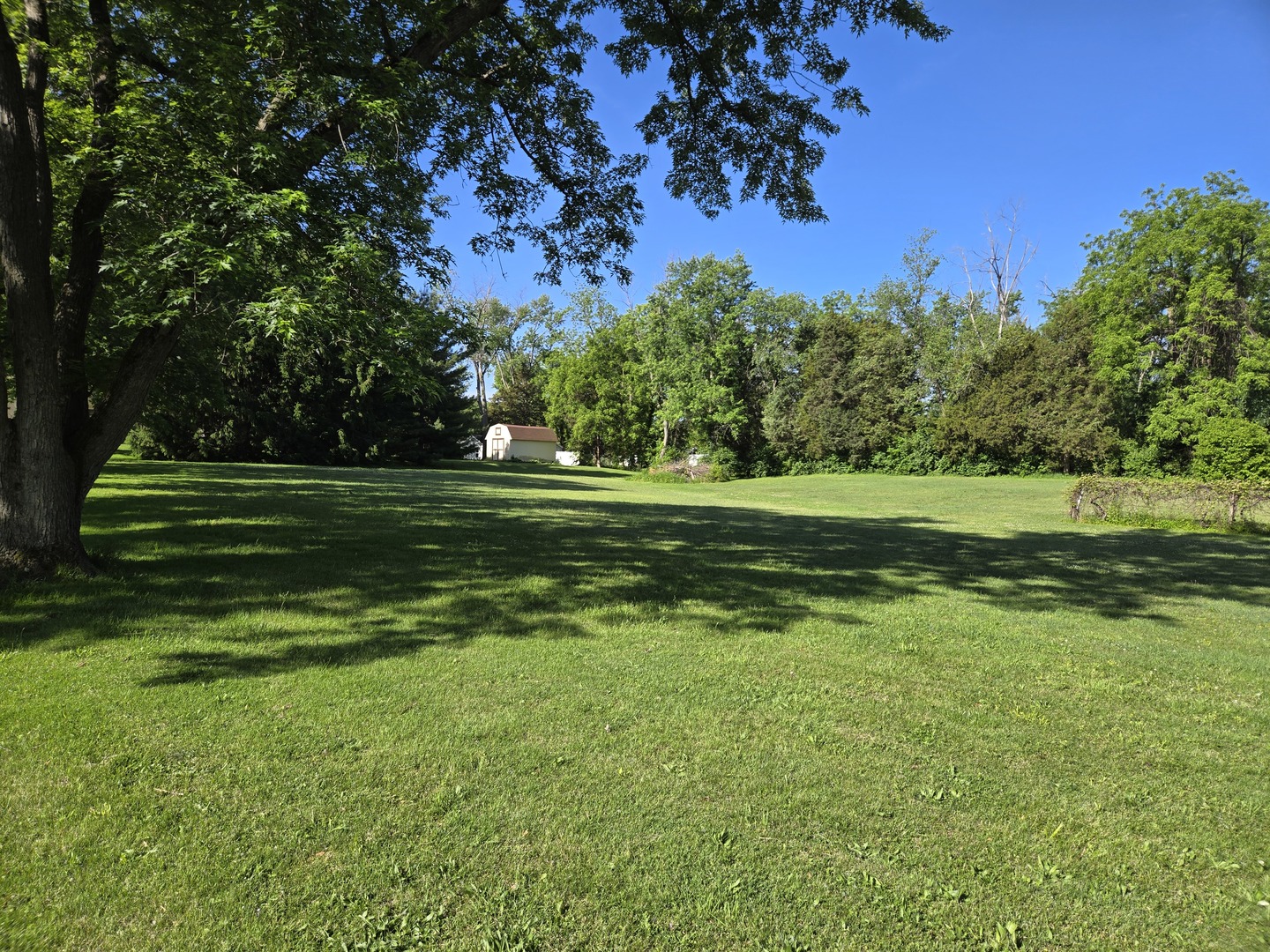 187 East Francis Road New Lenox, IL 60451 - Photo 7 of 16 Gallery Image 7