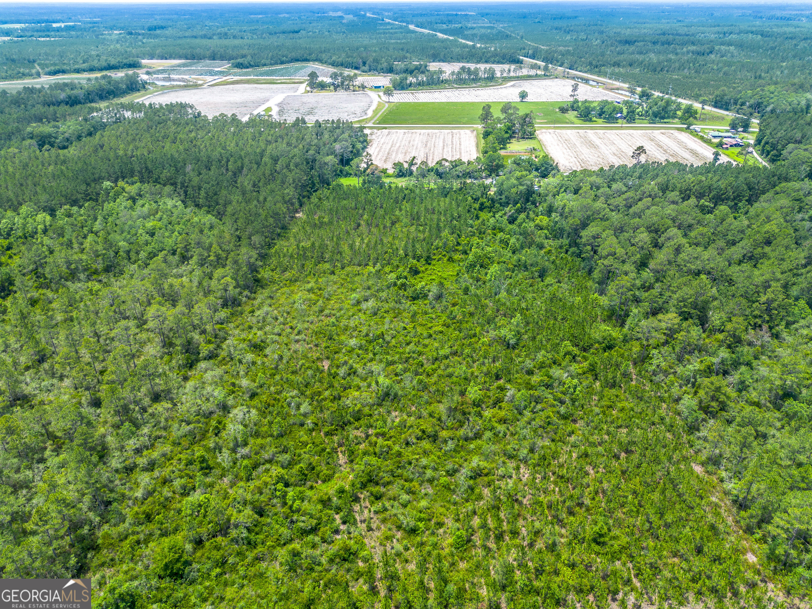 Lot 120 South Farms Edge Road Manor, GA 31550 - Photo 5 of 12