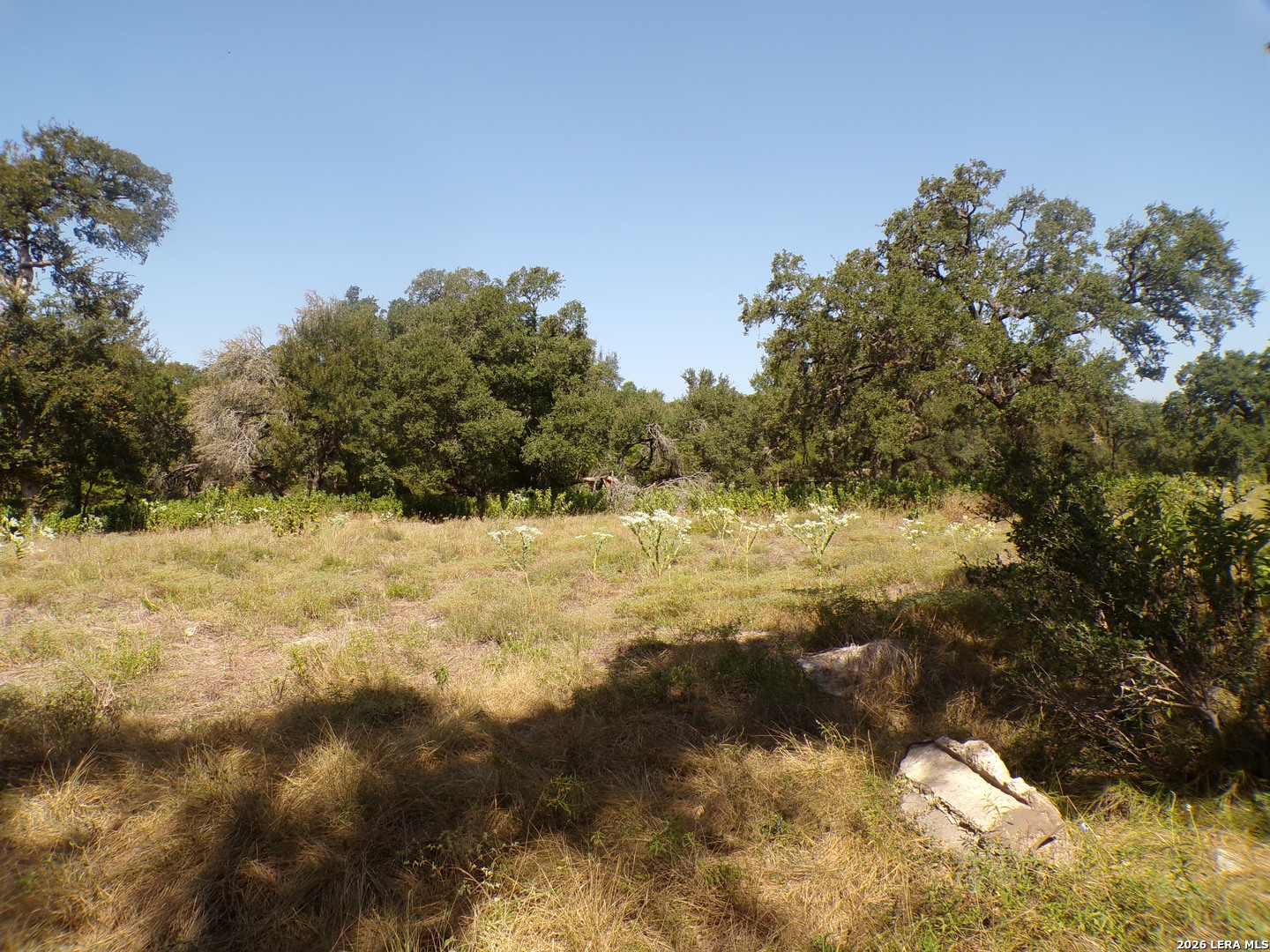 31401 Smithson Valley Road Bulverde, TX 78163 - Photo 1 of 12 Gallery Image 1