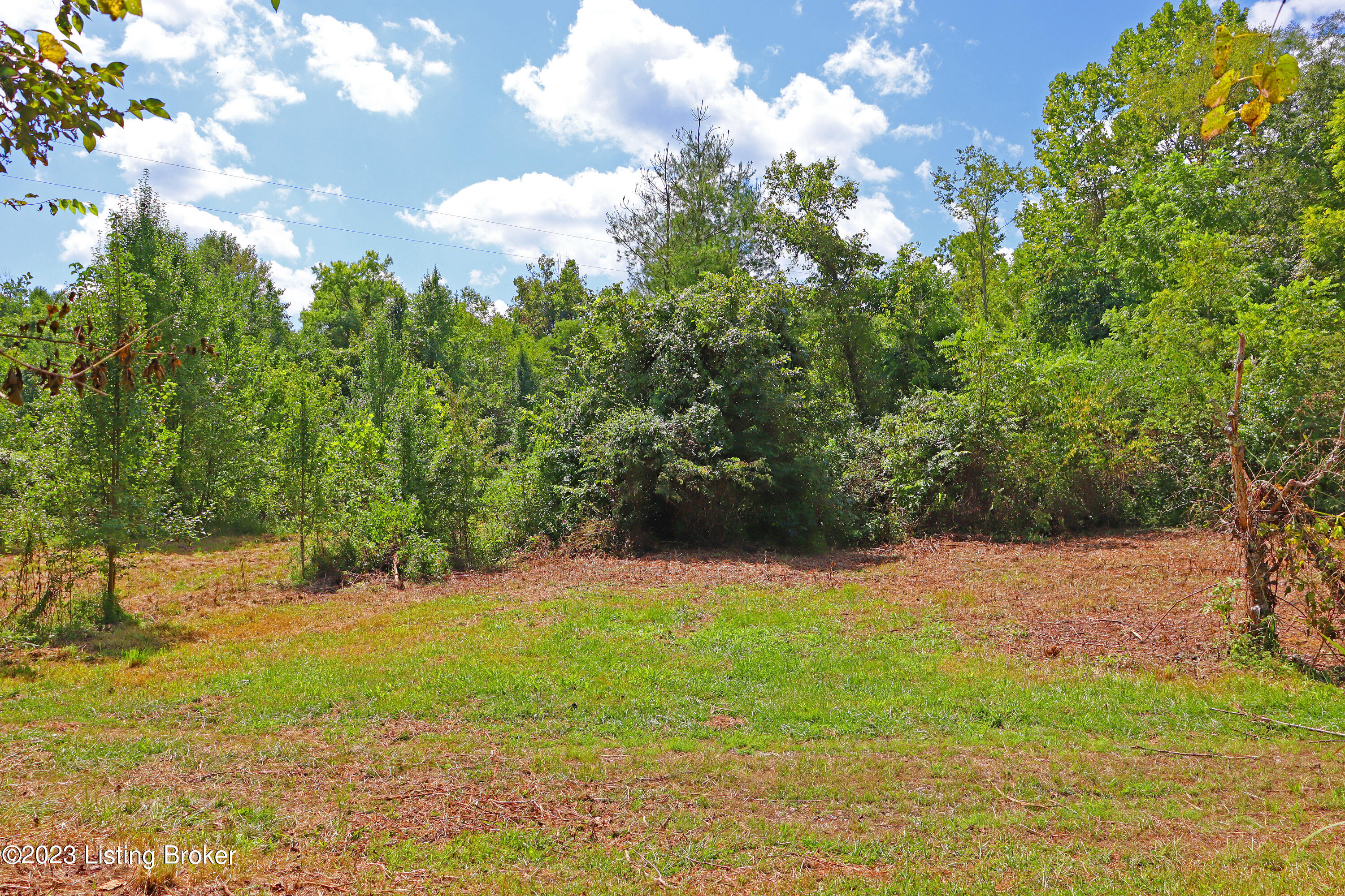 9006 River Road Turners Station, KY 40075 - Photo 20 of 39 Front Field 2