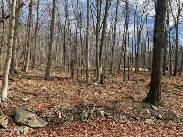 Lot 575 Owl Pass Road Bushkill, PA 18324 - Photo 2 of 3