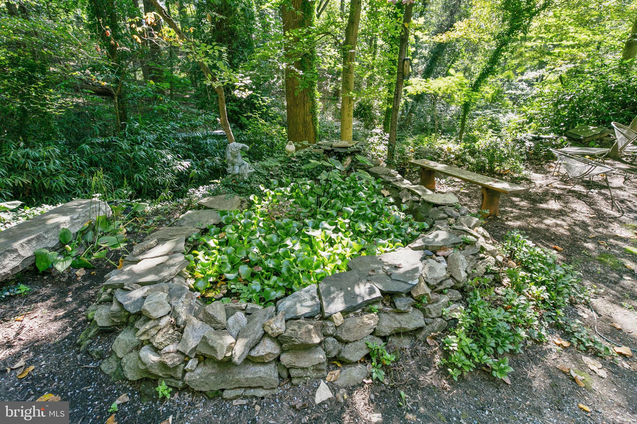 900 Navy Road Towson, MD 21204 - Photo 71 of 78 Lily Pond in front of house