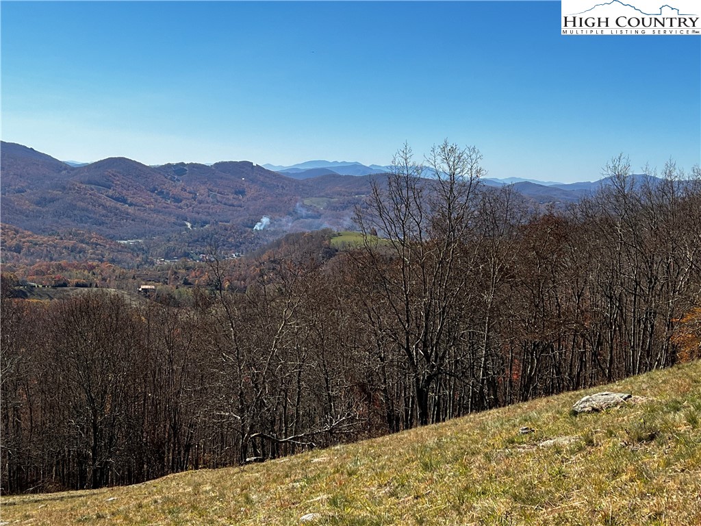 Site C Chappell Farm Road Banner Elk, NC 28604 - Photo 13 of 41 a view of a backyard of a house