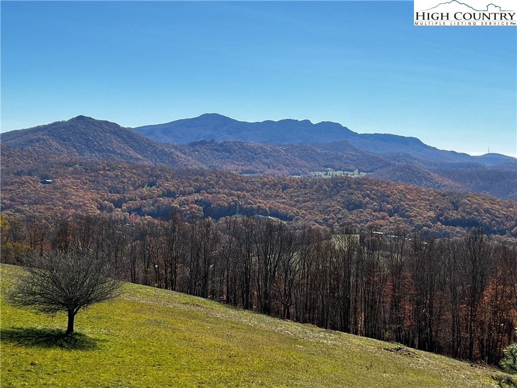 Site C Chappell Farm Road Banner Elk, NC 28604 - Photo 2 of 41 a view of a backyard with a wooden fence