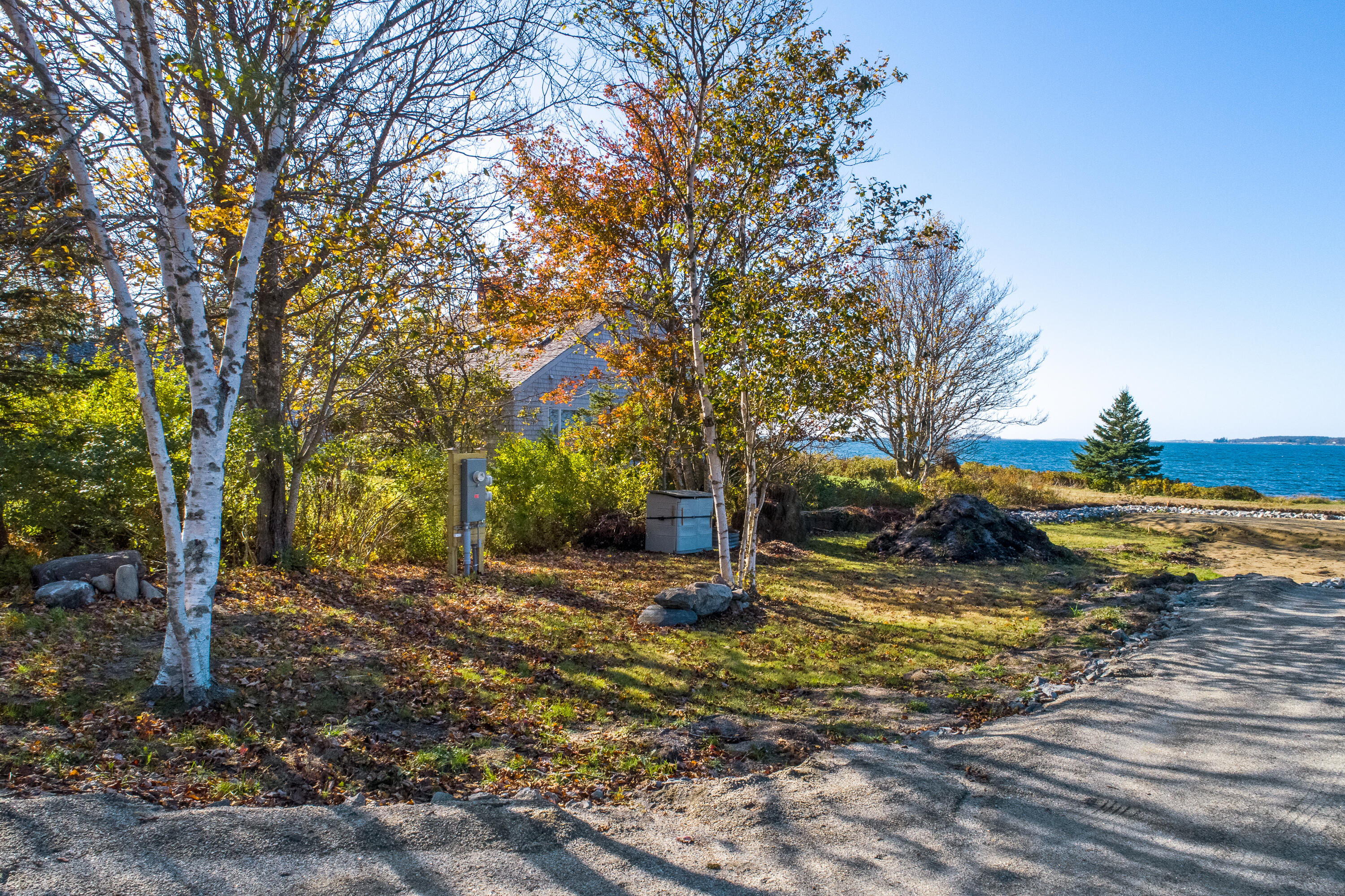 89 Seawood Park Road Bristol, ME 04554 - Photo 26 of 27 Beautiful Birch Tree