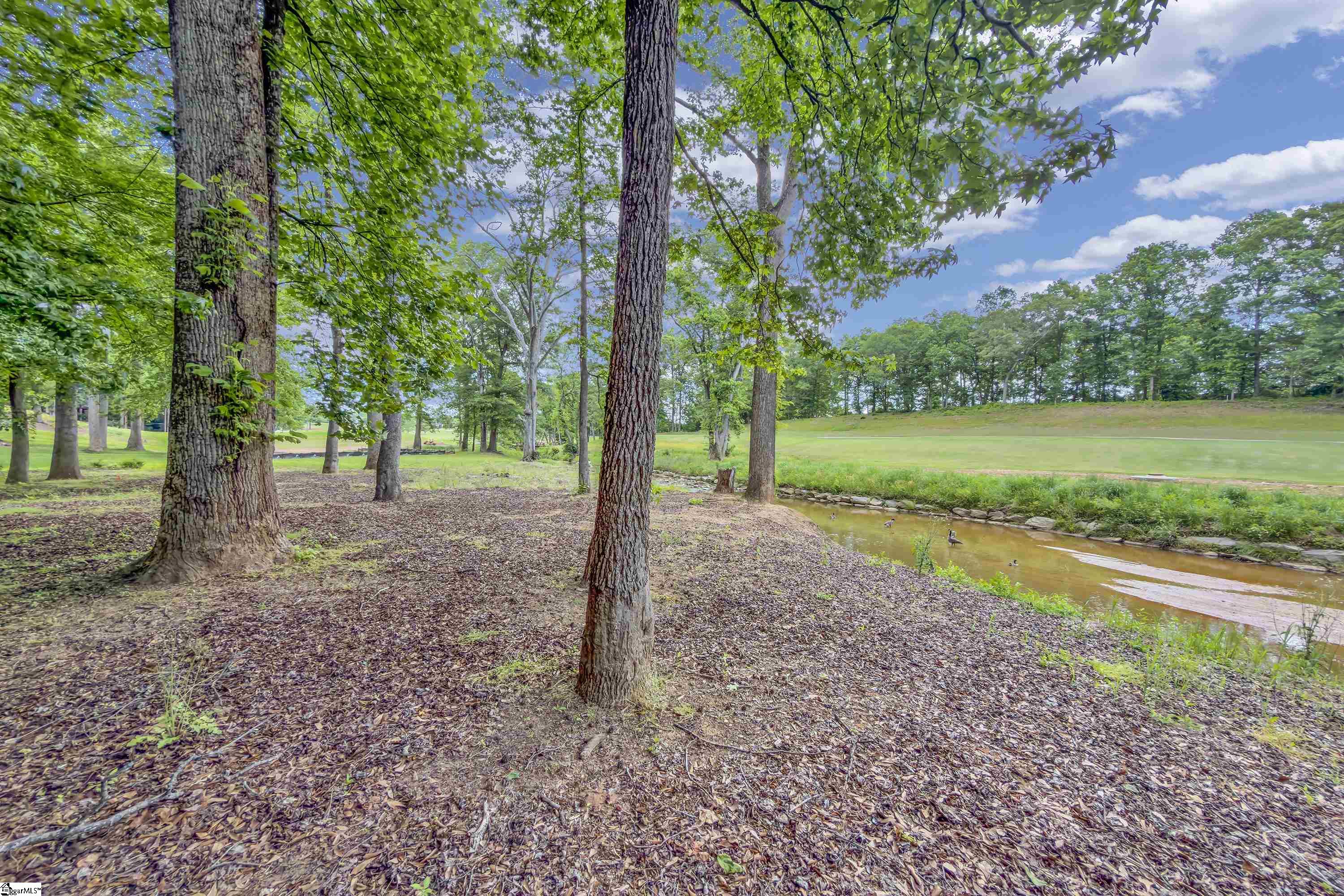 204 Fishbrook Way Simpsonville, SC 29681 - Photo 43 of 50