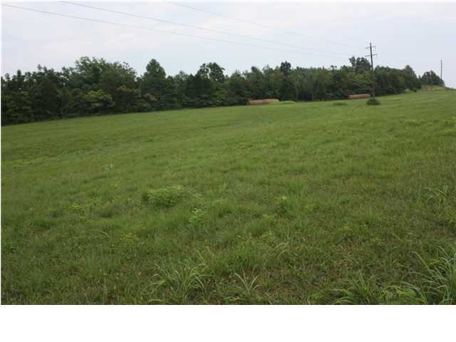 4900 Bloomington Road Leitchfield, KY 42754 - Photo 3 of 6 Additional Photo