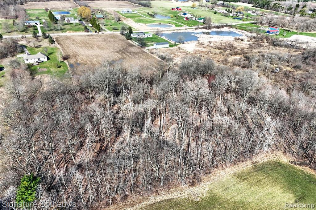 0 Brigham Road Goodrich, MI 48438 - Photo 8 of 9