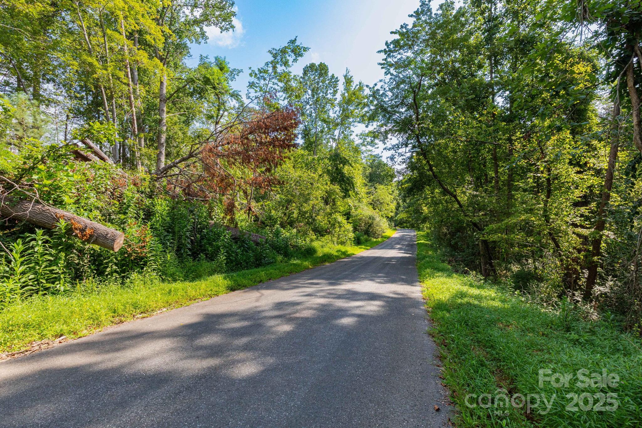 99999 Flynn Branch Road, Unit 2 Asheville, NC 28804 - Photo 7 of 20 a view of a yard with plants and large trees