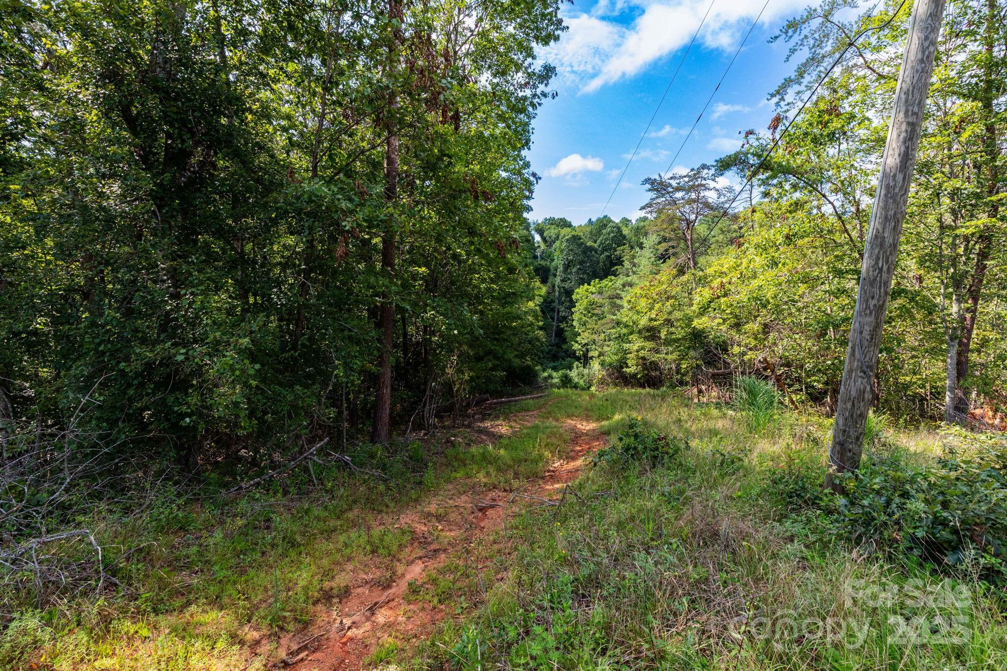 99999 Flynn Branch Road, Unit 2 Asheville, NC 28804 - Photo 8 of 20 a view of outdoor space and trees all around