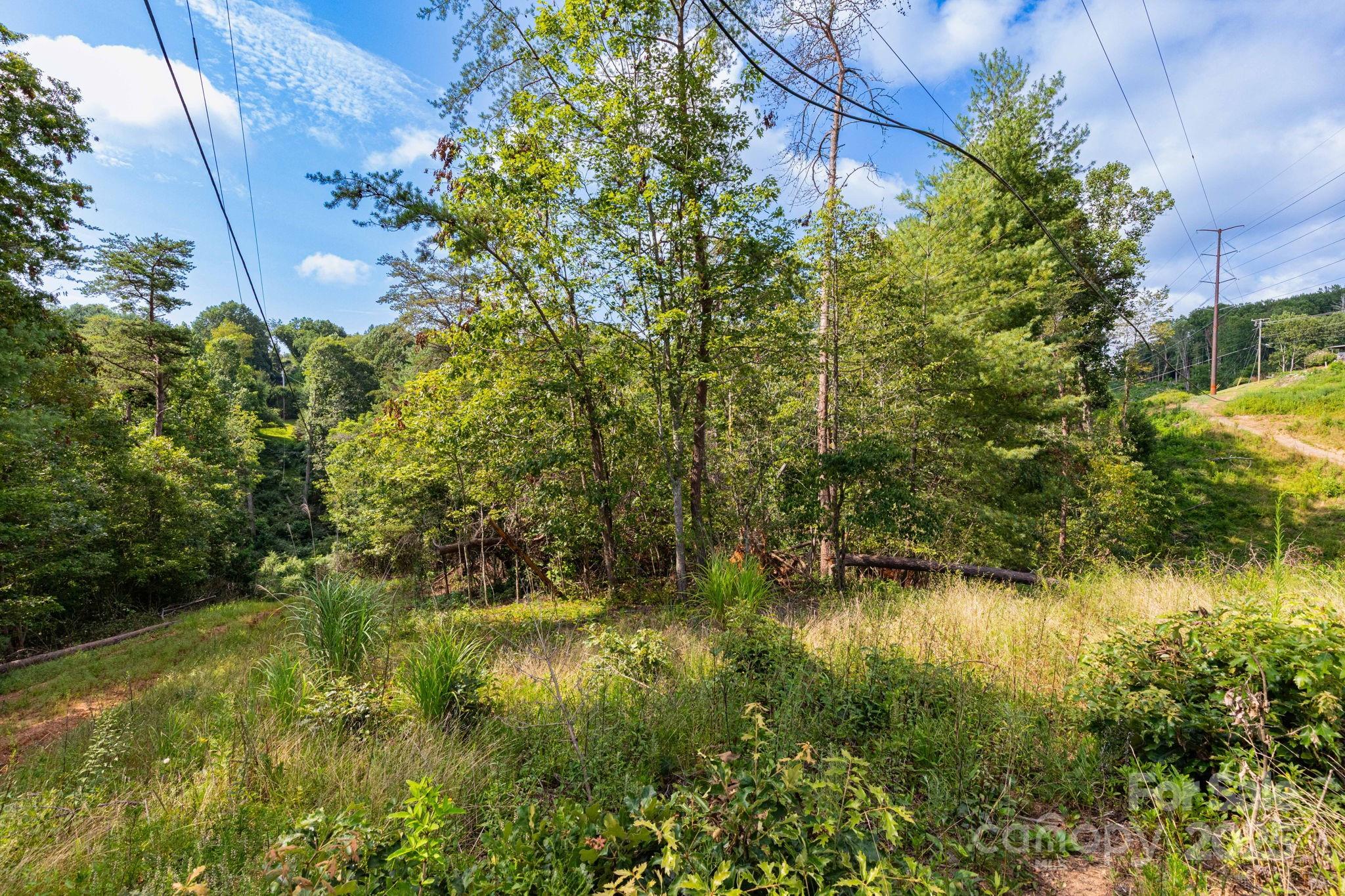 99999 Flynn Branch Road, Unit 2 Asheville, NC 28804 - Photo 9 of 20 a view of lake background with house