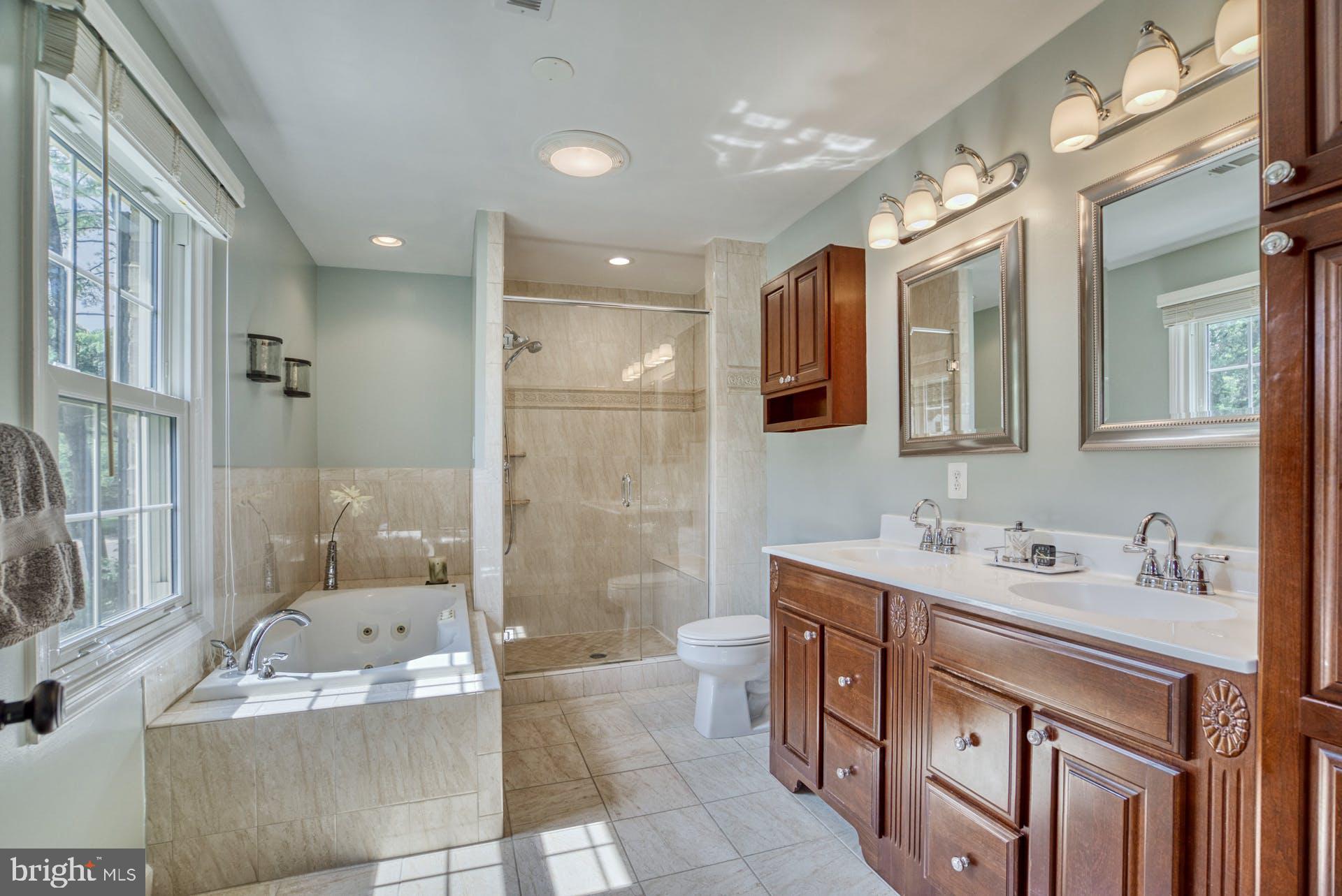 2643 Wild Cherry Place Reston, VA 20191 - Photo 31 of 53 Primary Bath