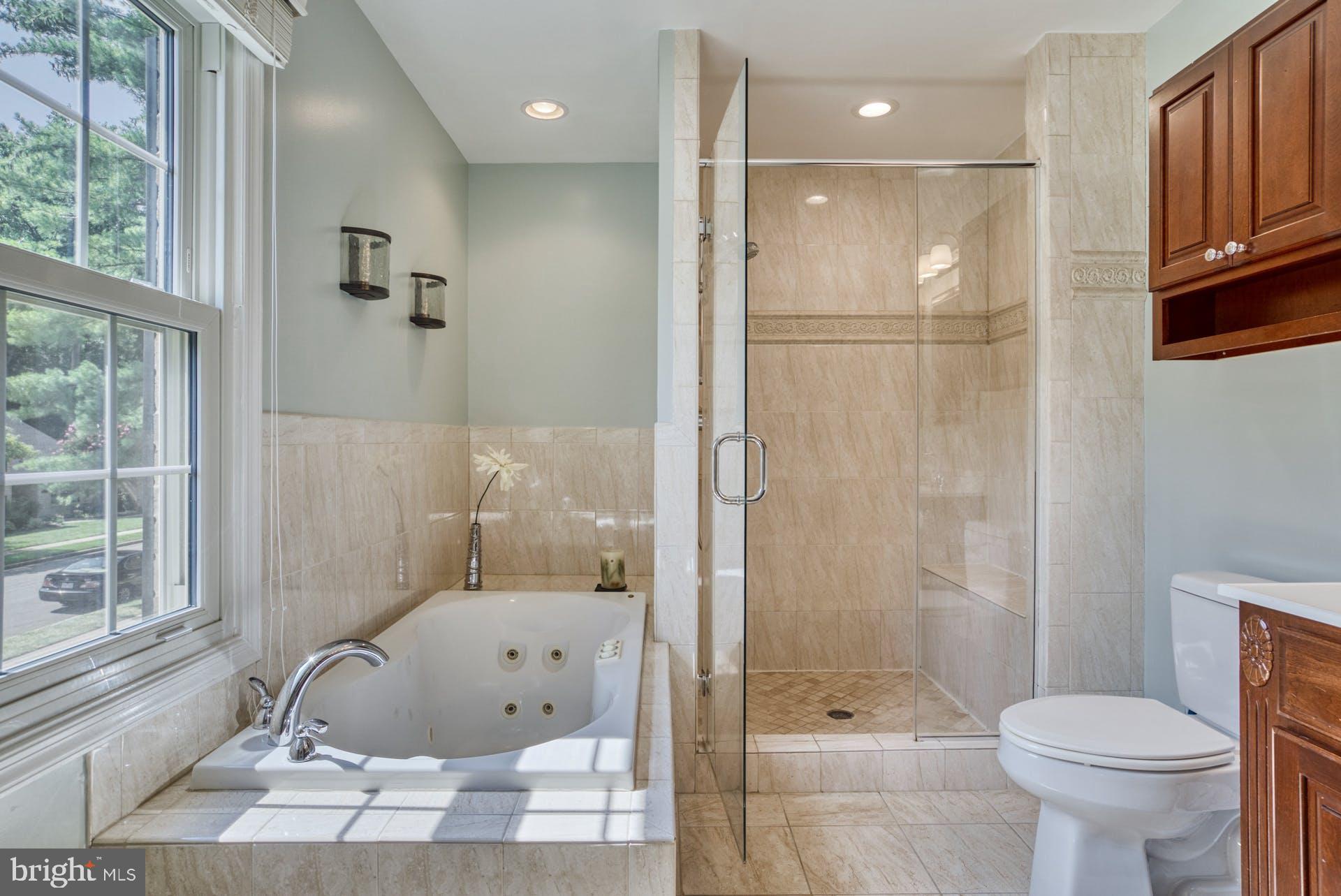 2643 Wild Cherry Place Reston, VA 20191 - Photo 32 of 53 Primary Bath with Separate Shower