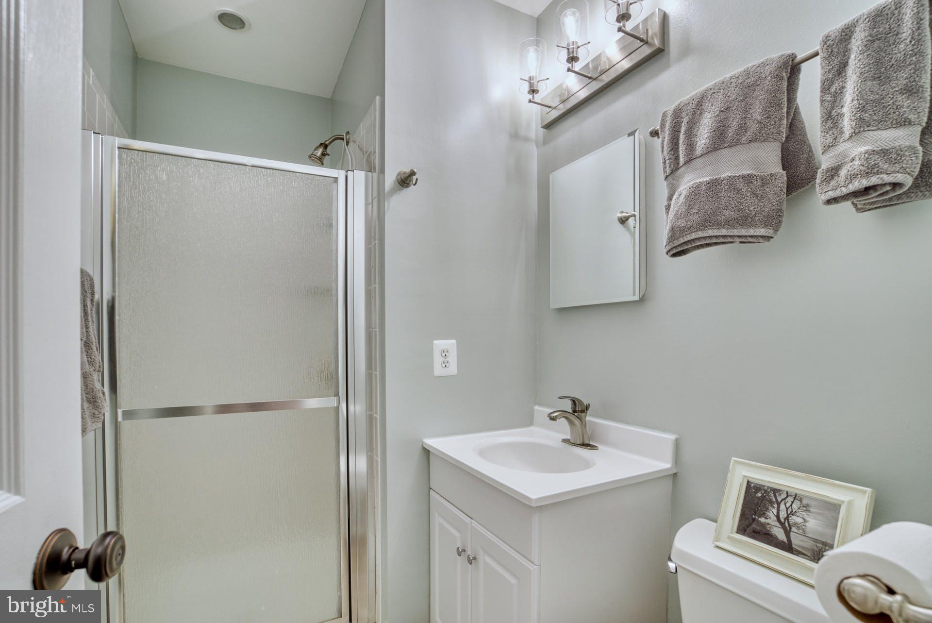 2643 Wild Cherry Place Reston, VA 20191 - Photo 42 of 53 Full bath on Lower level