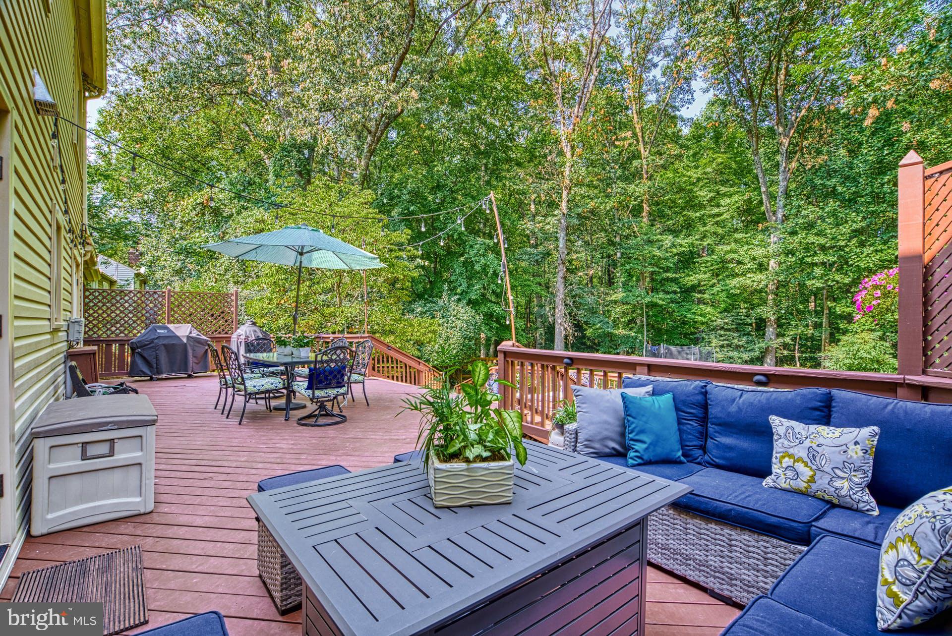 2643 Wild Cherry Place Reston, VA 20191 - Photo 43 of 53 Deck sitting area 2643 Wild Cherry Place