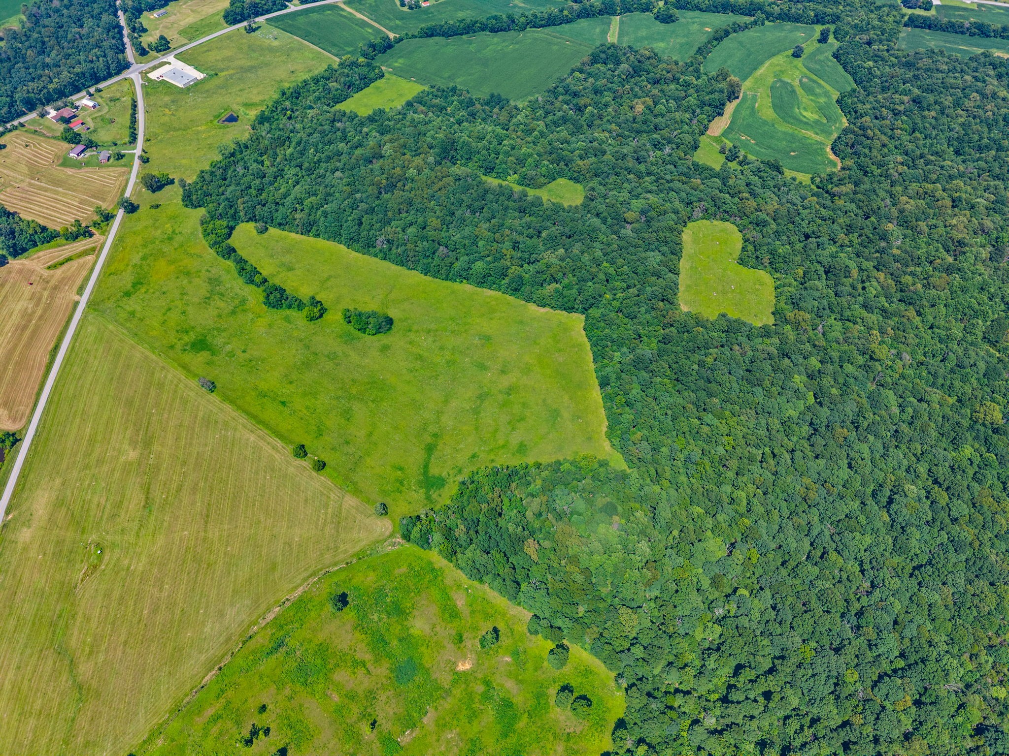 0 Highway 672 Princeton, KY 42445 - Photo 12 of 41