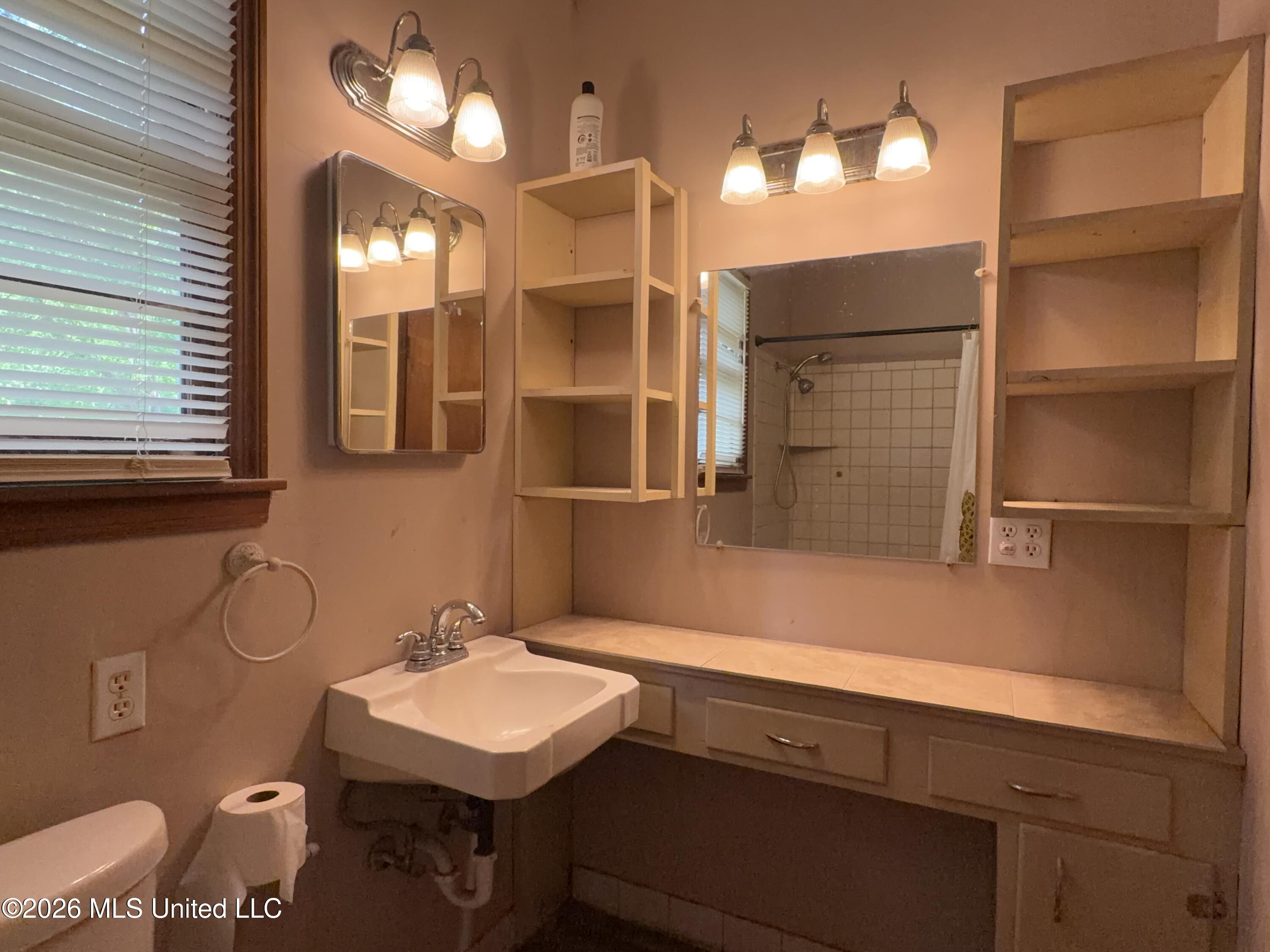 9361 Pigeon Roost Road Olive Branch, MS 38654 - Photo 16 of 34 Master Vanity