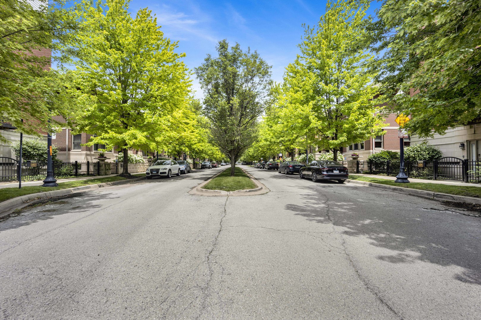 1414 South Halsted Street, Unit 3A Chicago, IL 60607 - Photo 38 of 62 a view of street with parked cars