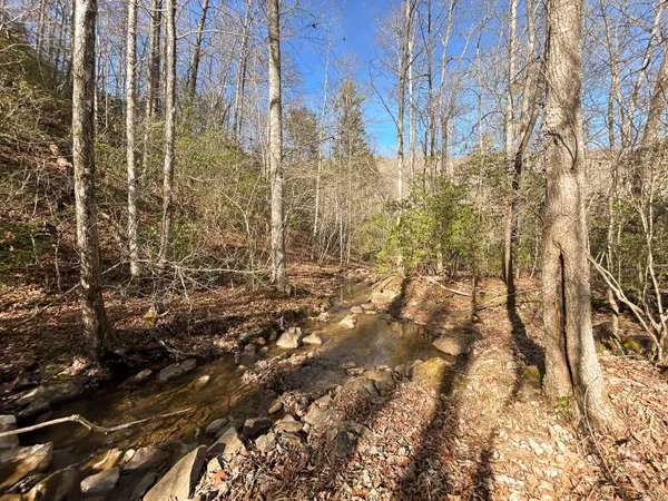 $143,000 | 0 Deerhead Road, Unit 5, Dunlap, TN 37327