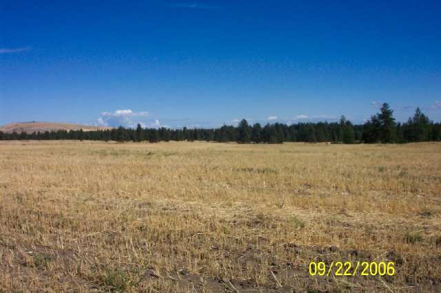 26004 West Tucker Prairie Road Cheney, WA 99004 - Photo 1 of 2