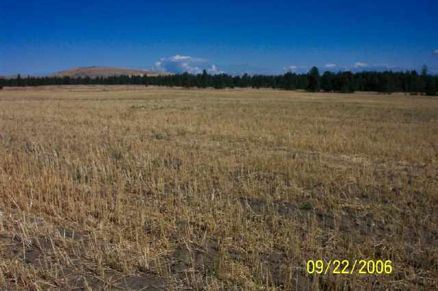 26004 West Tucker Prairie Road Cheney, WA 99004 - Photo 2 of 2