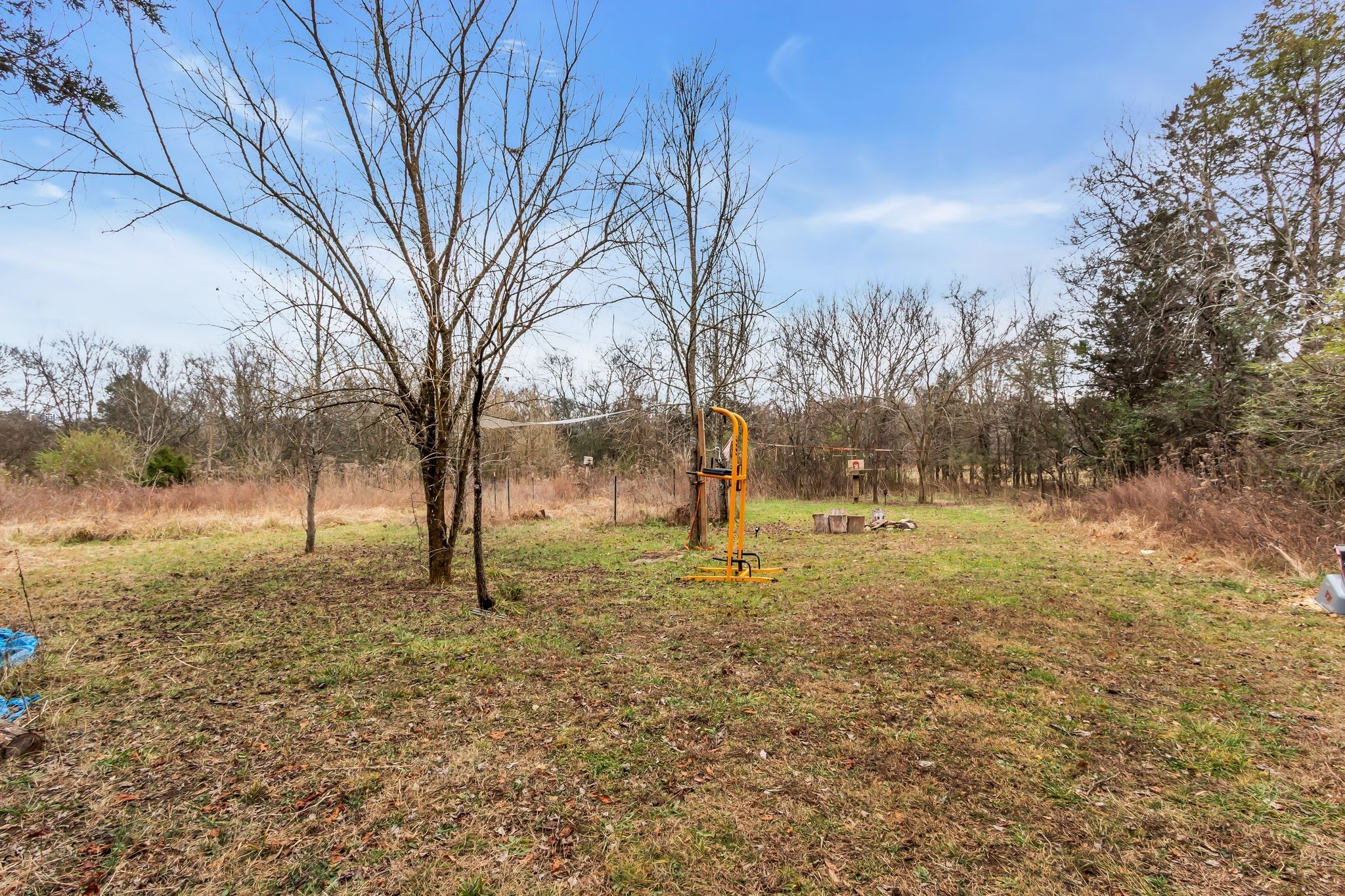 4897 Pyles Road Chapel Hill, TN 37034 - Photo 36 of 37