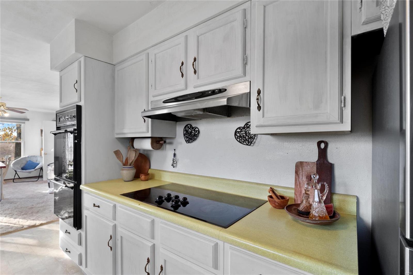 1652 Red Stripe Road Odin, IL 62870 - Photo 15 of 43