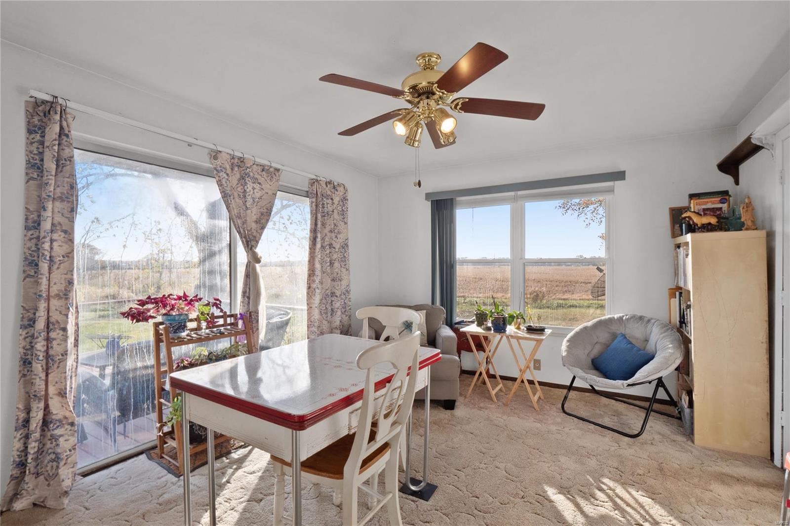 1652 Red Stripe Road Odin, IL 62870 - Photo 16 of 43