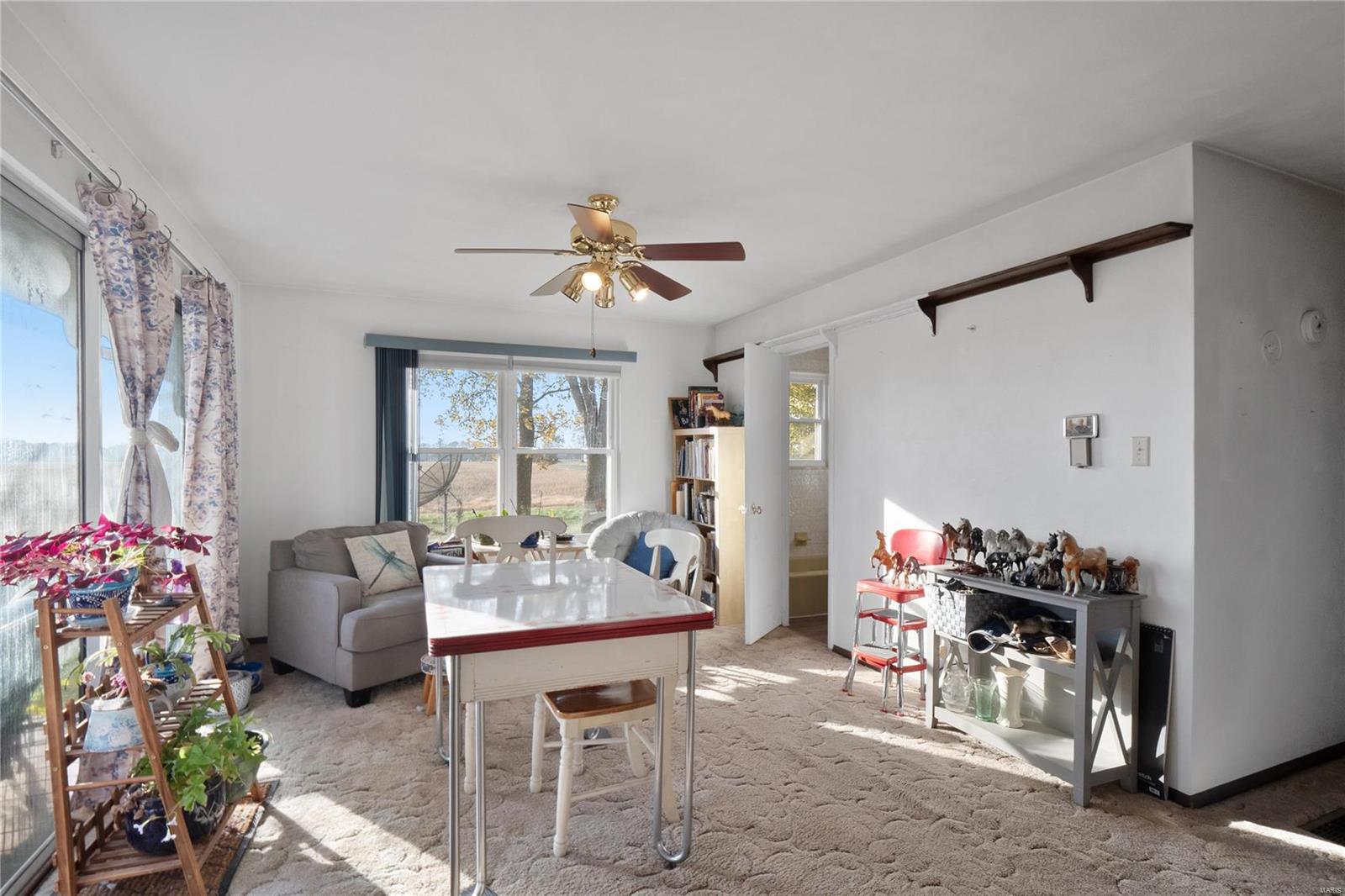 1652 Red Stripe Road Odin, IL 62870 - Photo 17 of 43