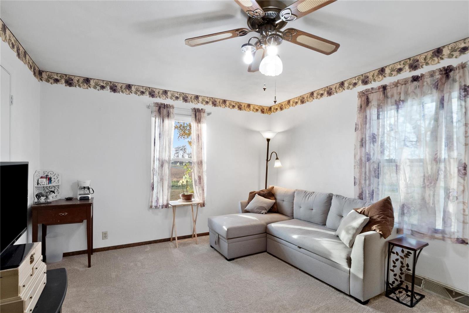 1652 Red Stripe Road Odin, IL 62870 - Photo 20 of 43