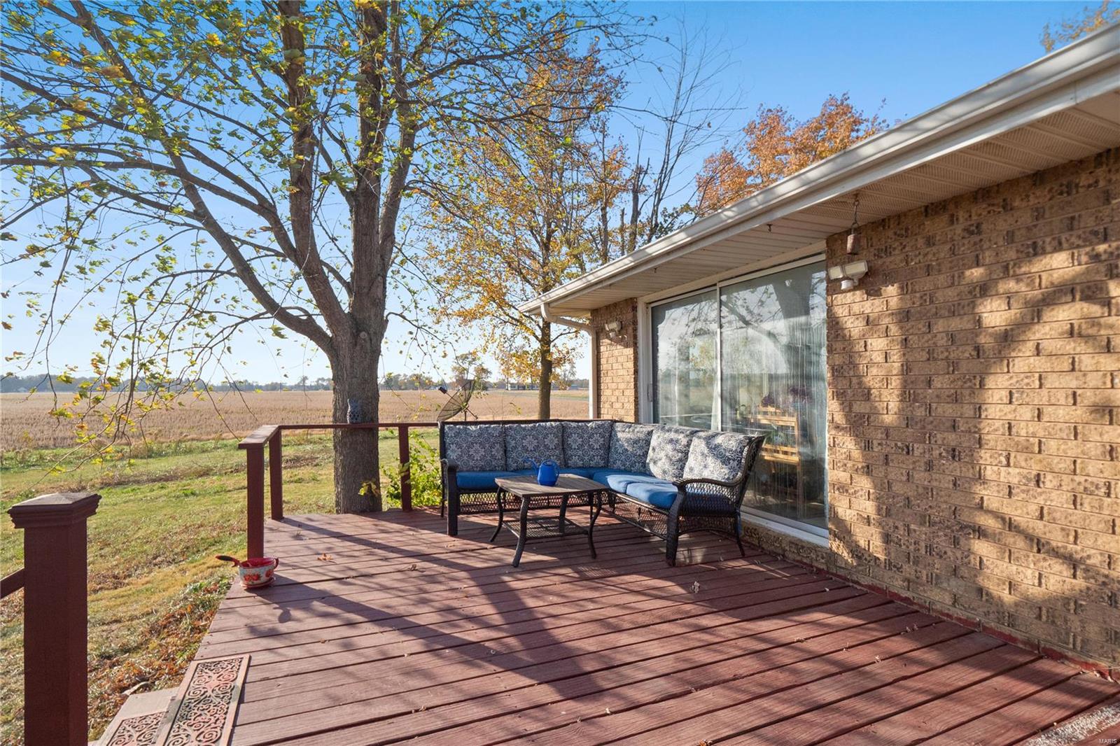 1652 Red Stripe Road Odin, IL 62870 - Photo 2 of 43