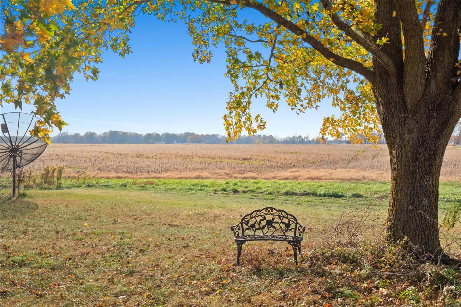 1652 Red Stripe Road Odin, IL 62870 - Photo 23 of 43