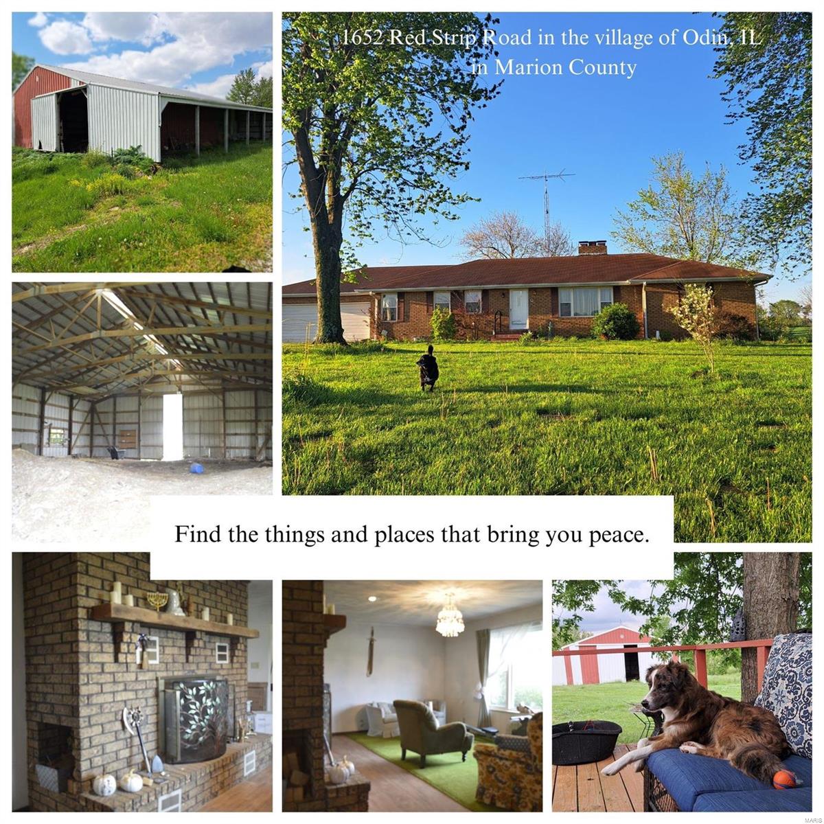 1652 Red Stripe Road Odin, IL 62870 - Photo 26 of 43