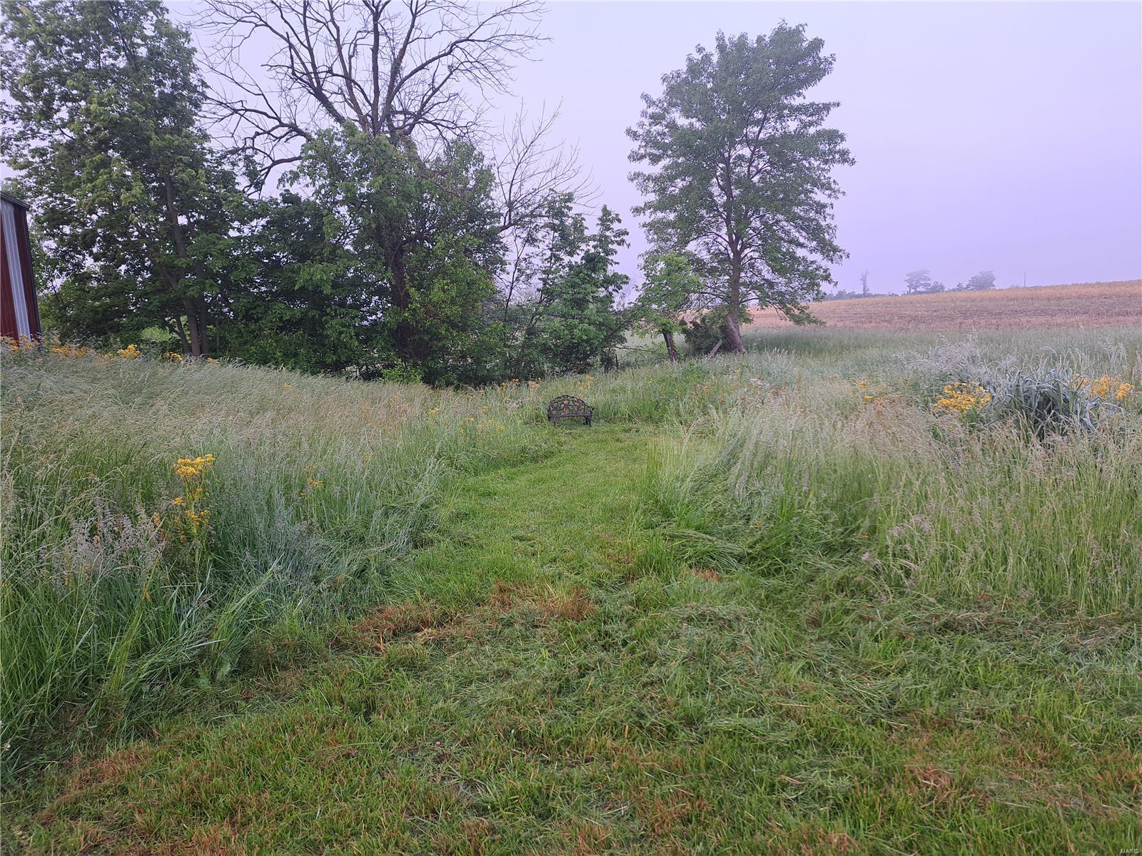 1652 Red Stripe Road Odin, IL 62870 - Photo 27 of 43