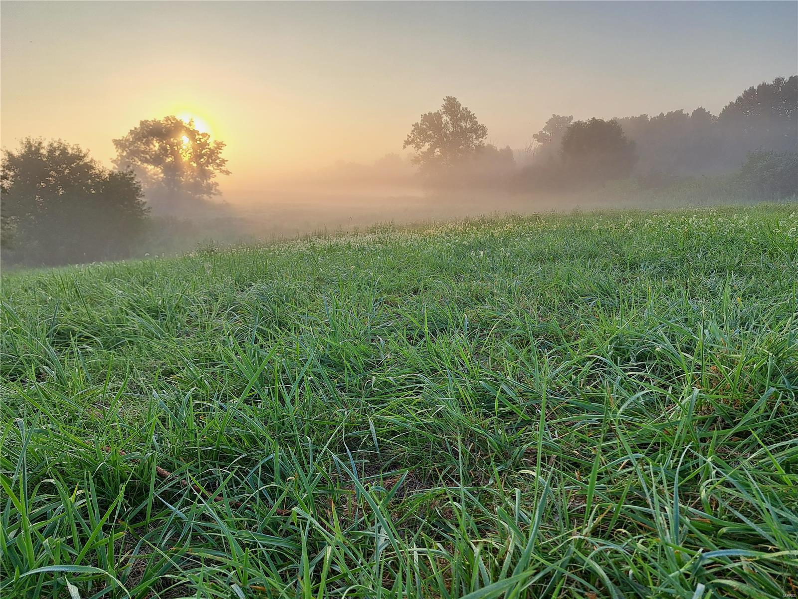 1652 Red Stripe Road Odin, IL 62870 - Photo 28 of 43