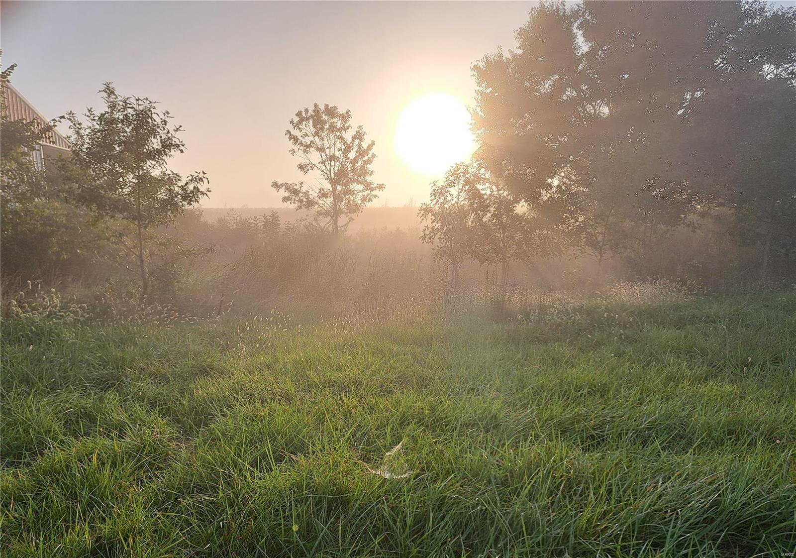 1652 Red Stripe Road Odin, IL 62870 - Photo 29 of 43