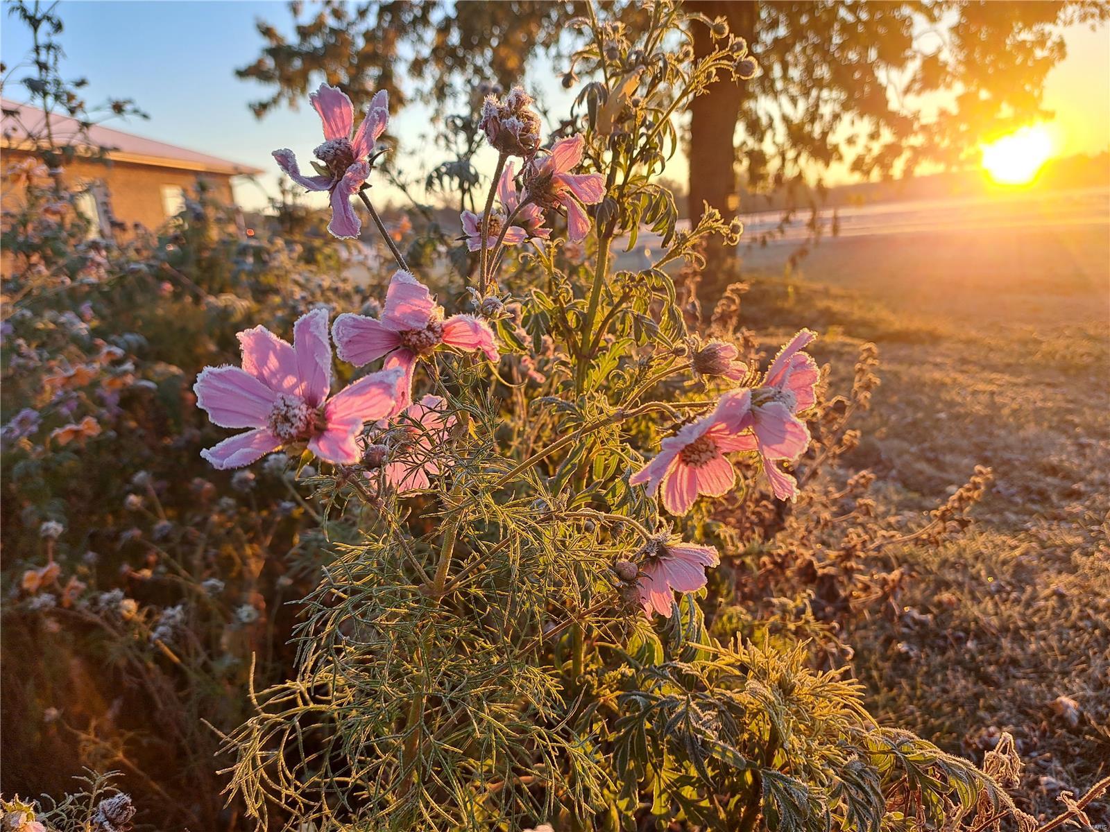 1652 Red Stripe Road Odin, IL 62870 - Photo 31 of 43