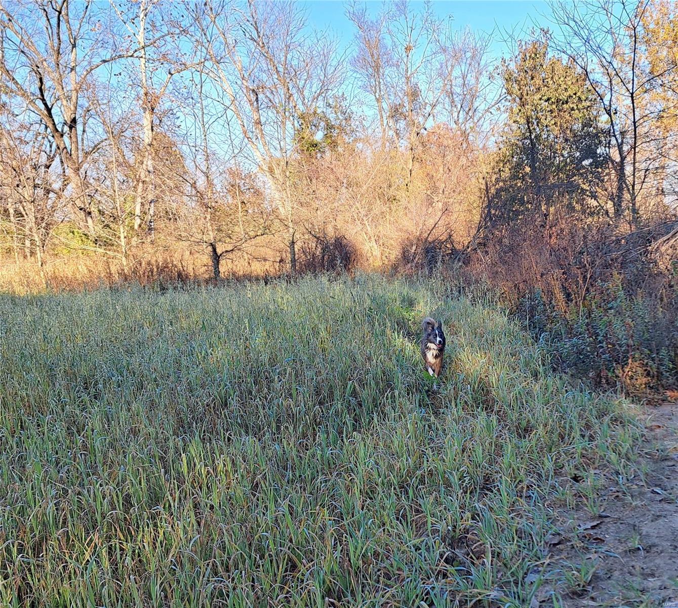 1652 Red Stripe Road Odin, IL 62870 - Photo 32 of 43