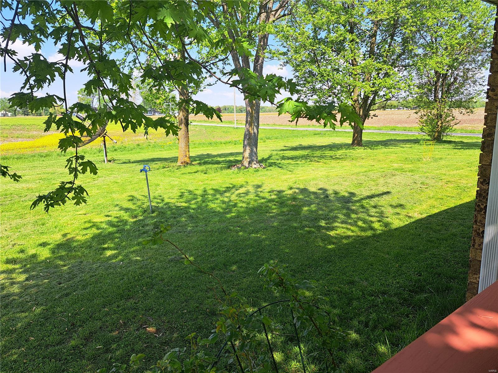 1652 Red Stripe Road Odin, IL 62870 - Photo 34 of 43