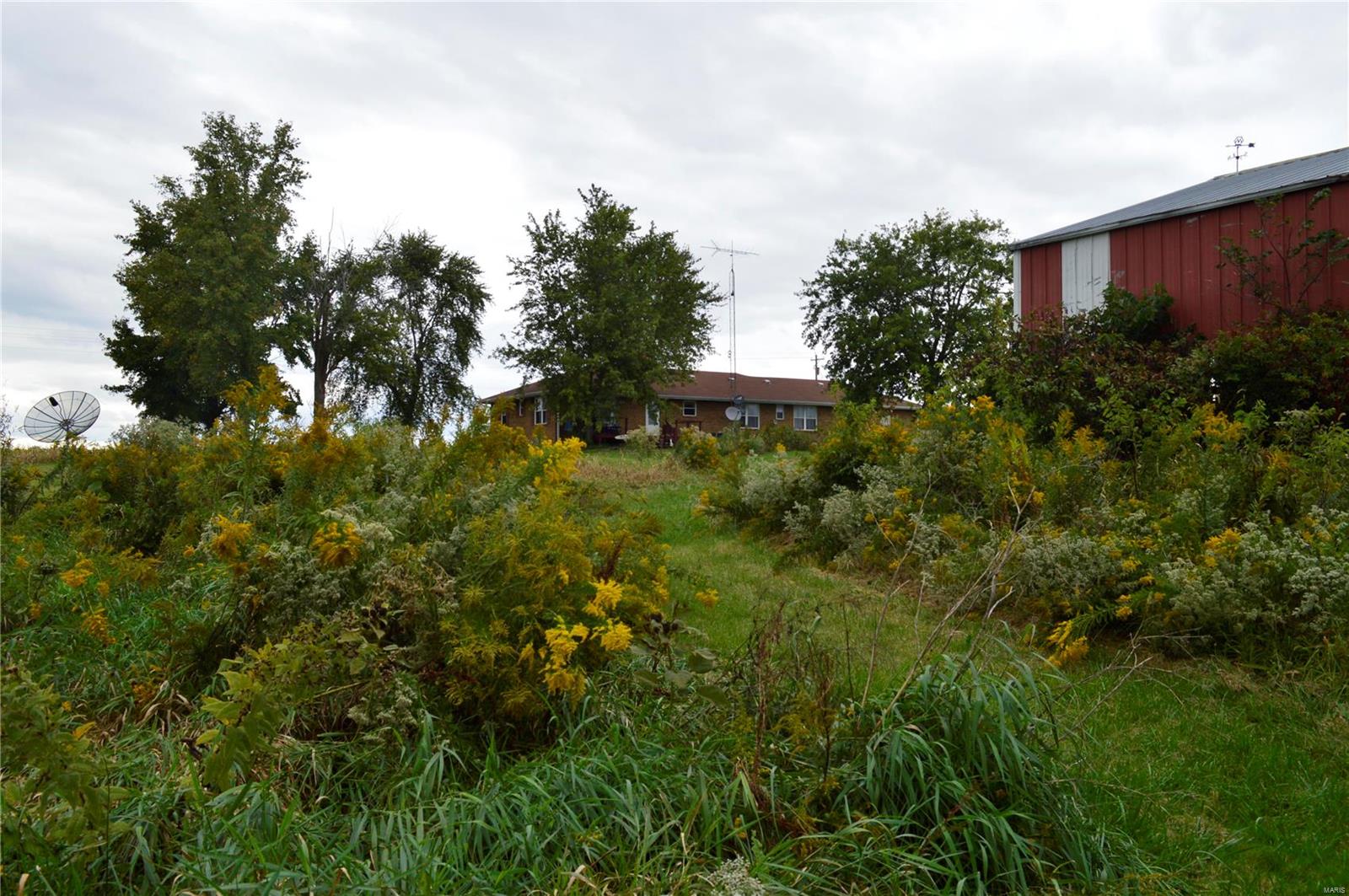 1652 Red Stripe Road Odin, IL 62870 - Photo 36 of 43