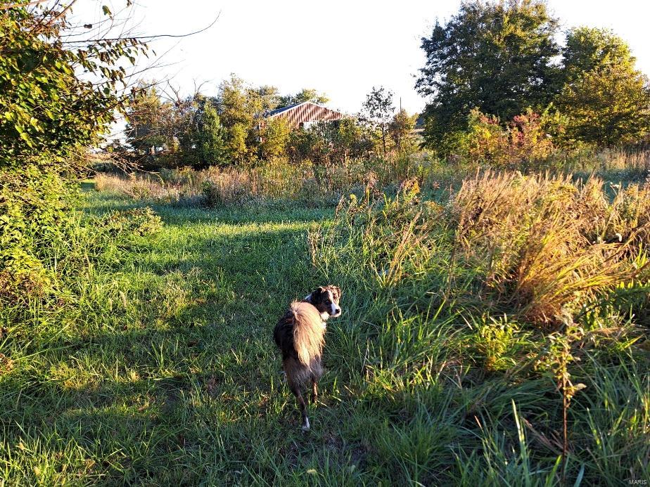 1652 Red Stripe Road Odin, IL 62870 - Photo 38 of 43