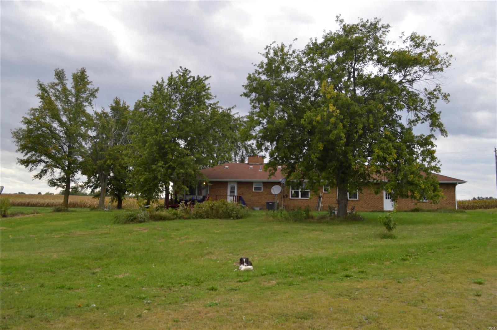 1652 Red Stripe Road Odin, IL 62870 - Photo 39 of 43