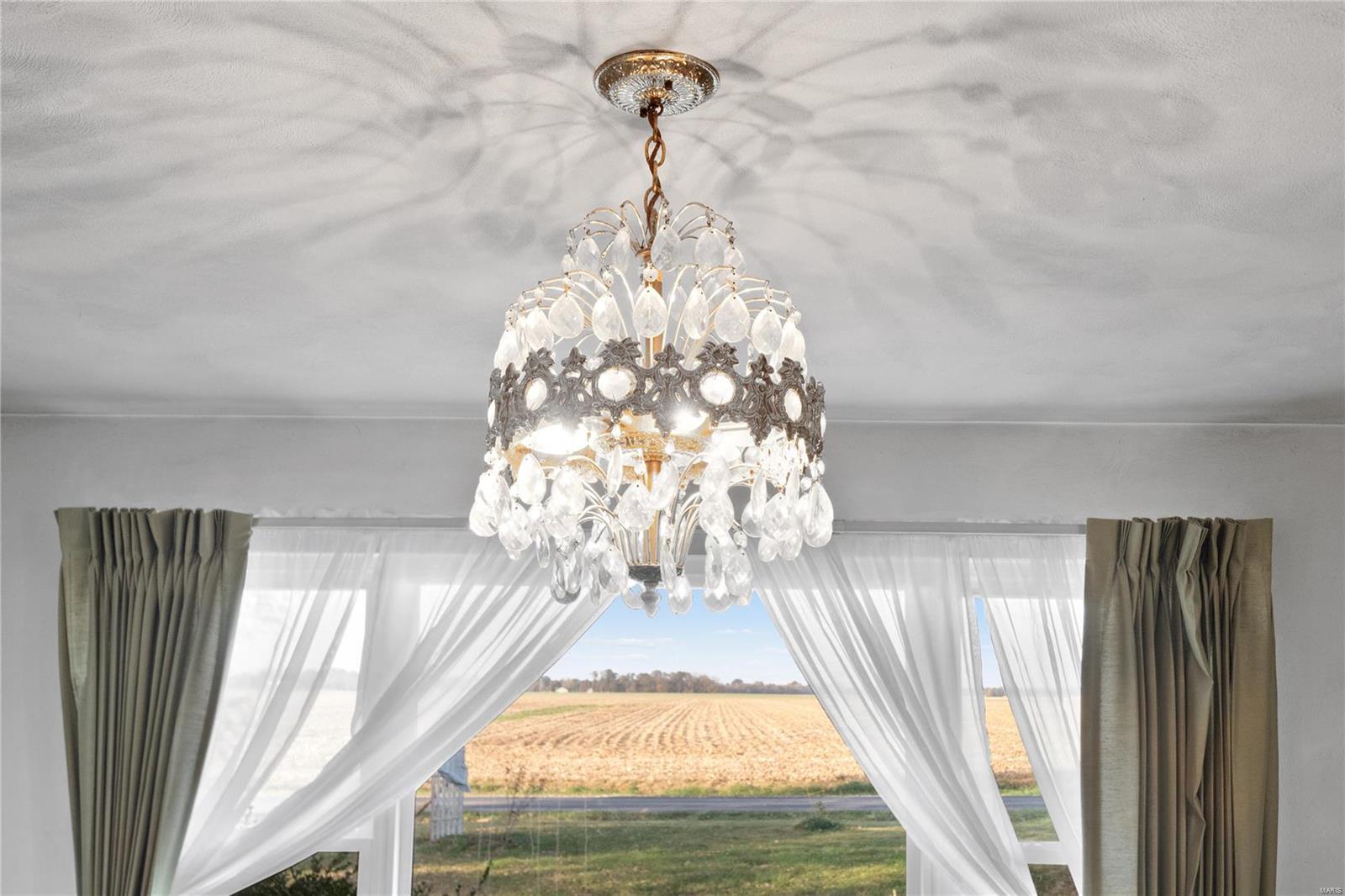 1652 Red Stripe Road Odin, IL 62870 - Photo 9 of 43