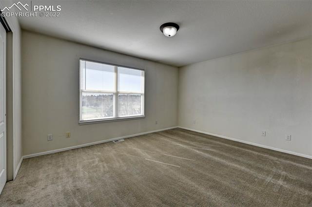 3523 Indigo Ridge Point Colorado Springs, CO 80910 - Photo 20 of 42 Gallery Image 20