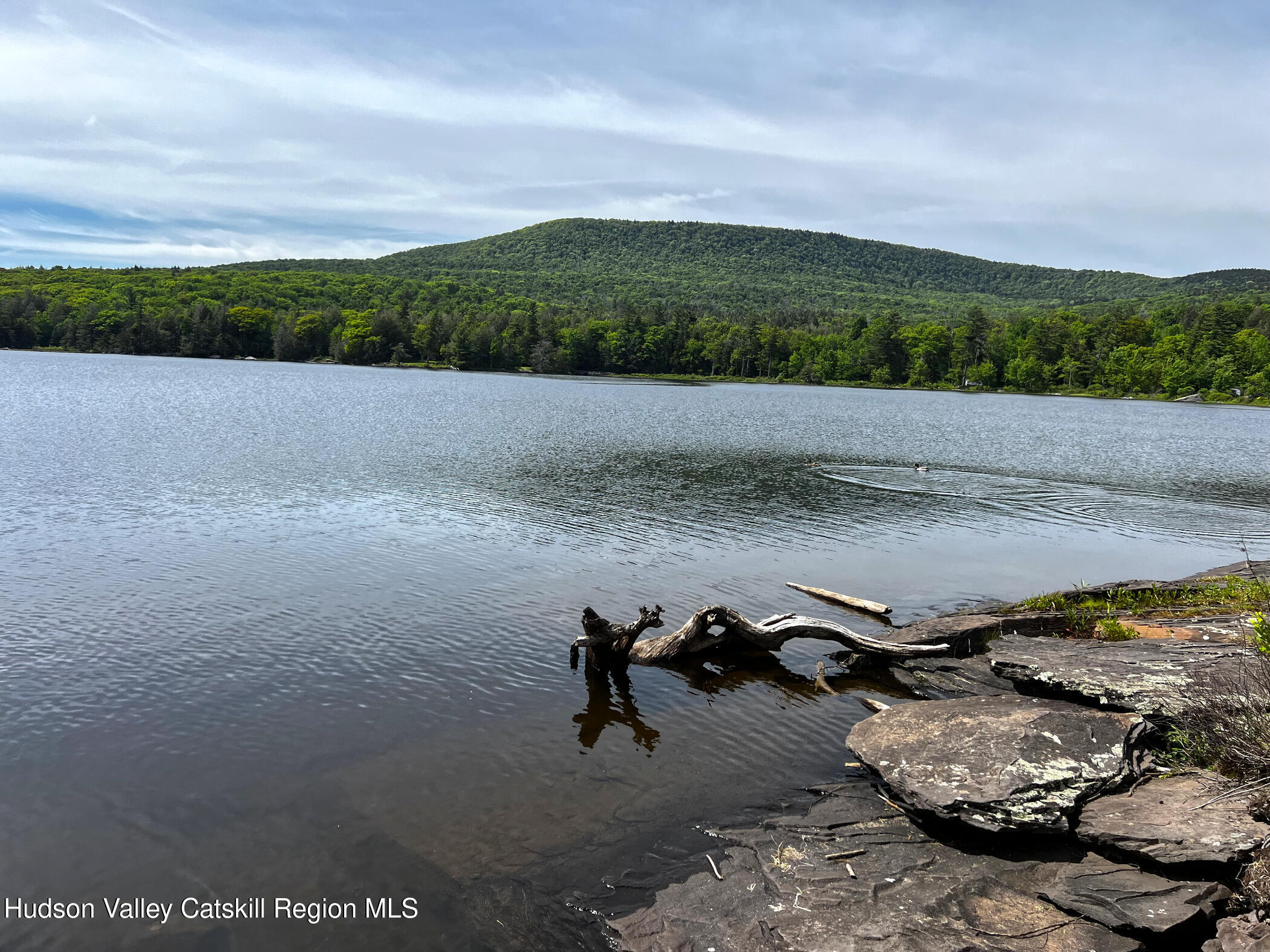 92 Osborne Road Haines Falls, NY 12436 - Photo 41 of 42 a view of a lake with mountain