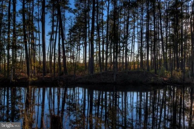 $219,900 | 2700 Willow Oak Drive, Unit 111B, Cambridge, MD 21613