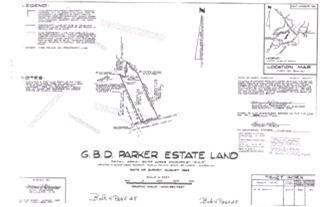0 Pasture Branch Road Rose Hill, NC 28466 - Photo 1 of 3 Primary Photo