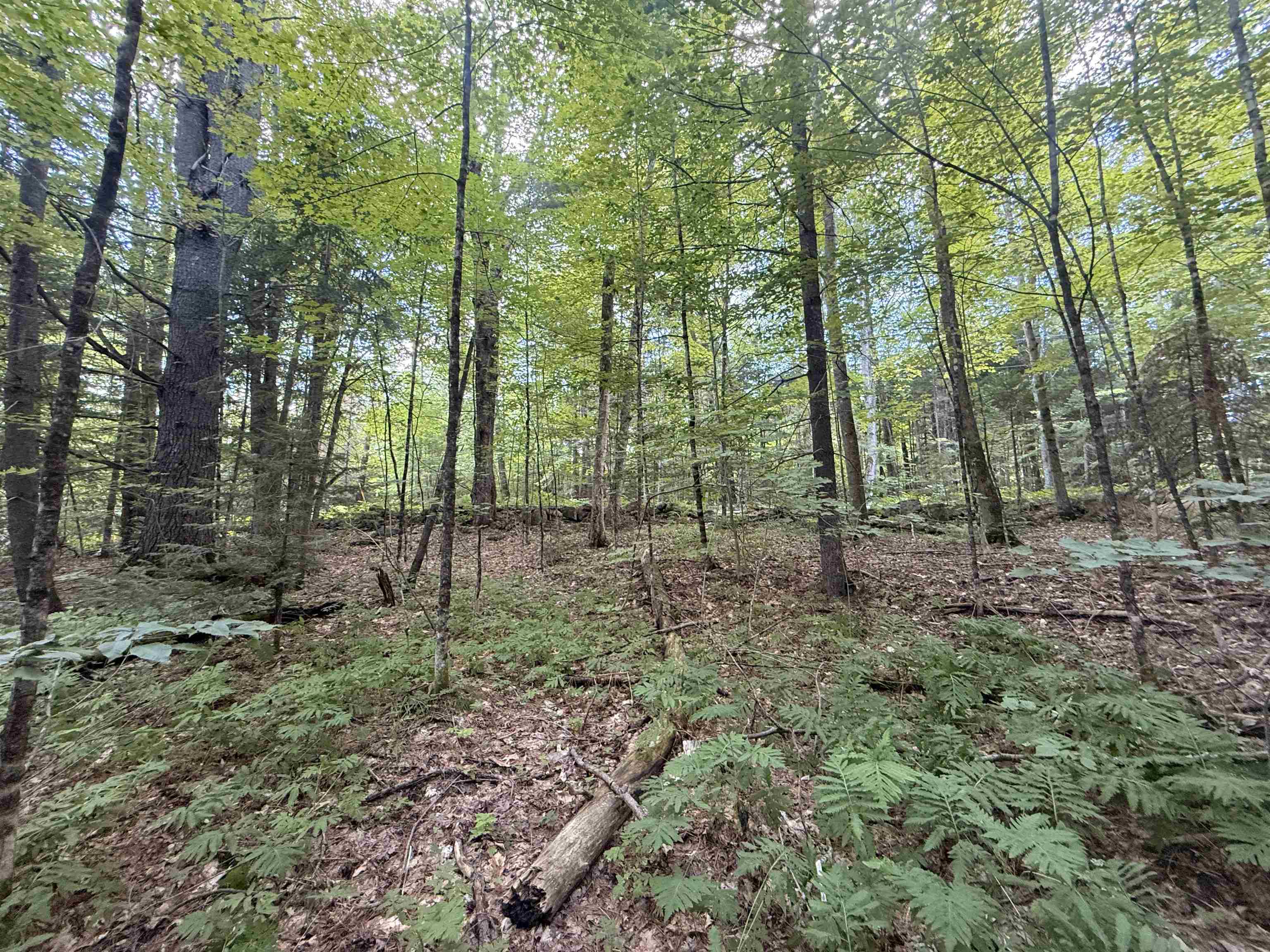 115 Forbes Mountain Road, Unit 3 Danbury, NH 03230 - Photo 8 of 18 Gallery Image 8