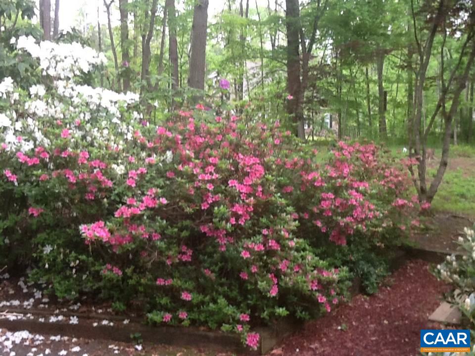 658 Big Oak Road Charlottesville, VA 22903 - Photo 46 of 49 Gallery Image 46